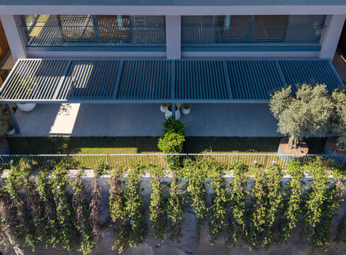 Aerial view of a modern terrace featuring a louvered pergola, potted olive trees, and a lush green wall with climbing plants in Istanbul, Avcilar, Turkiye.