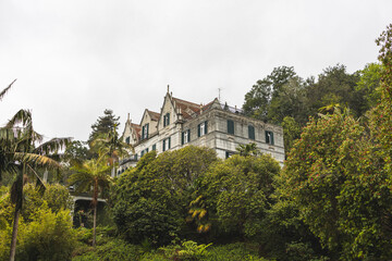 Obraz premium The inner garden of Monte Palace Madeira, Funchal