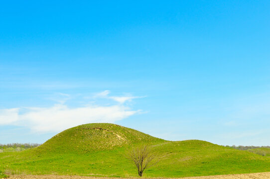 Green rolling hill with a single small tree under a clear blue sky, minimal rural landscape, horizontal orientation with abundant copy space.
