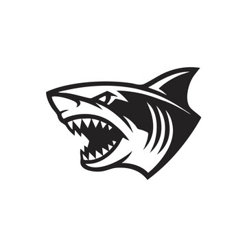Dynamic profile view of an aggressive shark head illustration with predator silhouette wildlife illustration ferocious