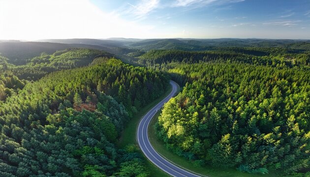 aerial view of a winding country road surrounded by a dense lush green forest landscape during a beautiful summer day