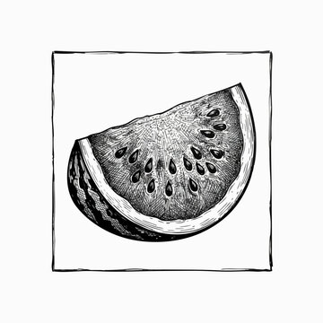 Detailed hand drawn ink illustration of a watermelon slice with cross section watermelon illustration refreshing monochrome