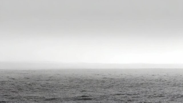 Minimalist landscape with a vast open field under a soft, overcast sky, blending into the horizon in gentle grayscale tones. Tranquil and serene atmosphere evokes calmness and introspection