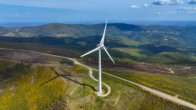 Aerial view of a wind turbine standing on a grassy hill with yellow wildflowers, surrounded by rolling hills and a dirt road in Lisbon, Lisbon, Portugal.