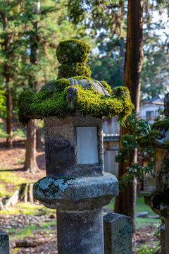 Closeup of a traditional moss-covered stone lantern in Nara known as Ishi-Toro with rich religious history in Japan. There are over 2,000 stone lanterns in Nara.