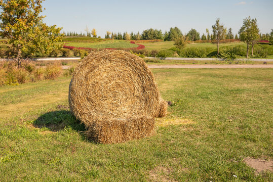 A golden round hay bale sits on a grassy field in warm autumn sunlight, with trees and open countryside in the background