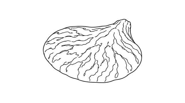 Black outline vector icon of an irregular kidney-shaped tree fungus with wavy margin, thick tapered base and dense branching vein texture drawn in thin uneven lines in lateral isolated exposition