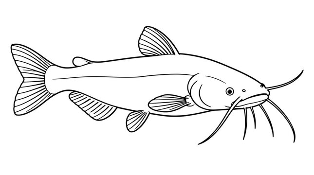 Black outline vector icon of a side view channel catfish with whisker barbels forked tail and detailed fins drawn with thin lines in horizontal centered composition for freshwater fishing guidebooks