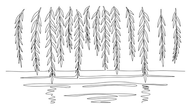 Weeping willow trees beside water