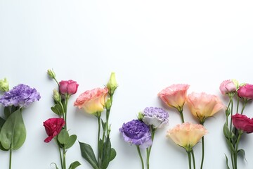 Fototapeta premium Beautiful eustoma flowers on white background, flat lay. Space for text