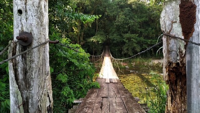 ponte de madeira na regi&atilde;o do Amazonas para conceito de viagem, destino e ecologia.