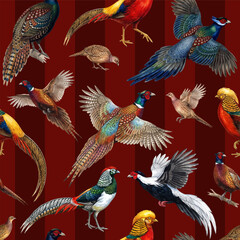Obraz premium Seamless pattern with colorful exotic pheasant birds isolated on a striped background. Vintage painting style vector illustration.