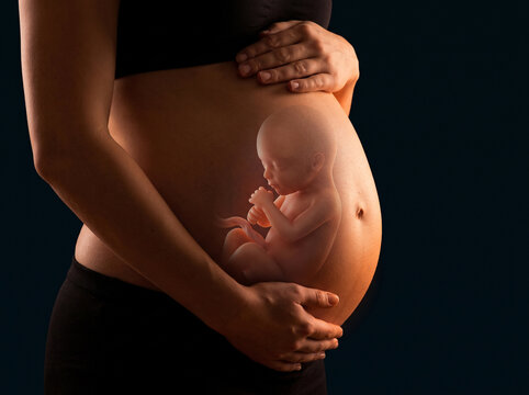 Close-up of a pregnant woman&rsquo;s belly, highlighting a growing baby bump and representing motherhood, maternity, prenatal health, anticipation and the journey of pregnancy.