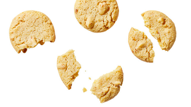 Isolated delicious homemade cookies with one bitten and another broken, sweet crunchy snack.