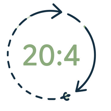 20 to 4 Method intermittent fasting icon vector