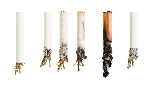 Isolated burning cigarette progression displaying tobacco roots symbolizing addiction and health warning.