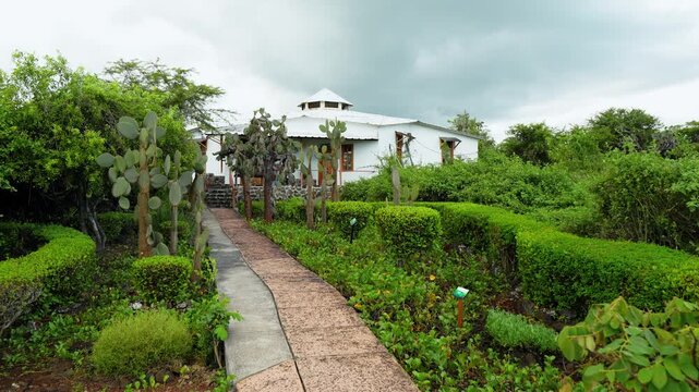 Garden path between hedges and cacti in Galapagos. A paved walkway leads between green hedges toward a building under an overcast sky.