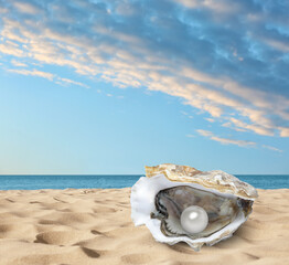 Oyster with pearl on beach by sea © New Africa