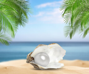 Oyster clam with pearl on sandy beach under palm leaves by sea © New Africa