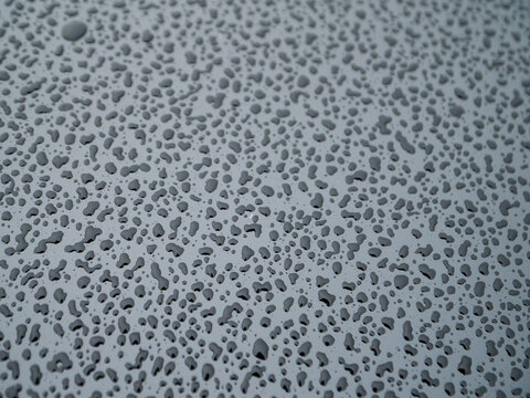 Close up of rain droplets on dark gray surface. Water beads glisten under soft light. Smooth texture reflects subtle reflections. Background fades into misty gray