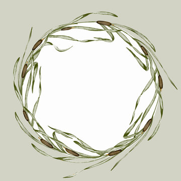 Watercolor cattail and reed wreath frame isolated on soft sage background with blank white center. Hand drawn botanical bulrush circle border for rustic wedding invitations, greeting cards, and nature