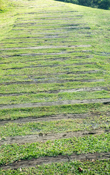 Decorate the walkway with grass and reclaimed wood background.
