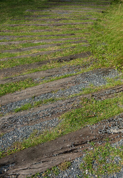 Decorate the walkway with grass and reclaimed wood background.