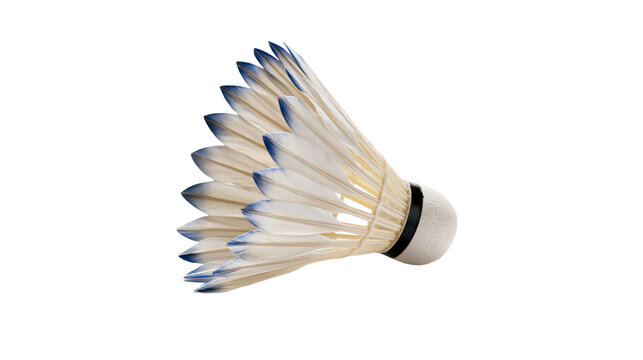 Isolated professional badminton shuttlecock with natural white feathers and elegant blue tips.