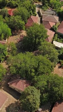 Aerial view of old rustic vintage houses with wine cellars in Rogljevacke pivnice in Negotin region of Serbia. Vertical video 4k