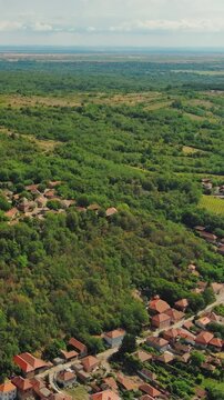 Aerial view of old rustic vintage houses with wine cellars in Rogljevacke pivnice in Negotin region of Serbia. Vertical video 4k