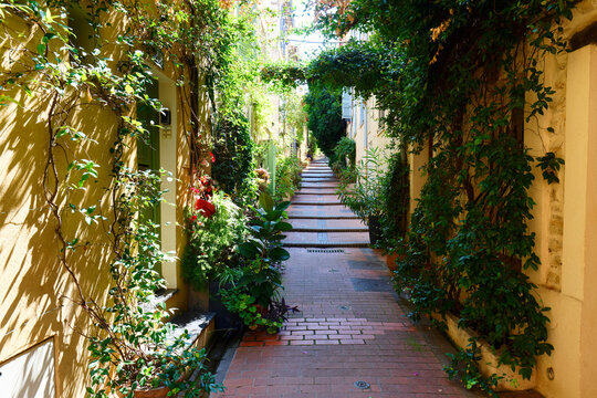 Quiet narrow street in Antibes Old Town with blooming blue plumbago and bougainvillea, French Riviera, France