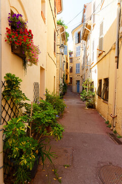 Picturesque pedestrian alley covered with climbing plants and flowers, French Riviera, Cote d'Azur, France