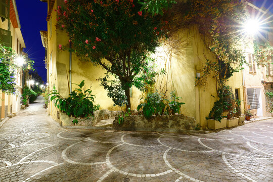 Cobblestone street corner at night in Antibes Old Town with oleander tree, blue hour, French Riviera, France