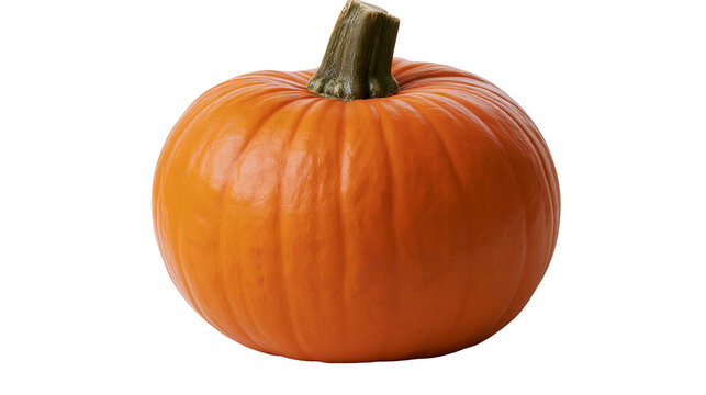 Isolated single whole orange pumpkin with green stem perfect for autumn harvest and holidays