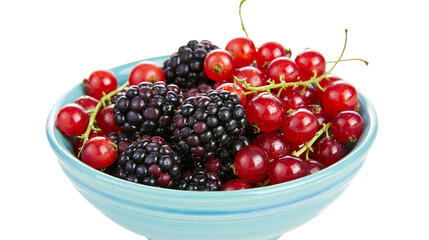 Isolated delicious fresh organic red currants and blackberries in a light blue bowl, sweet snack. © Conor
