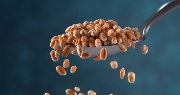 Wheat grains falling from spoon in slow motion on blue background