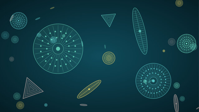 Diatoms microscopic algae pattern on dark teal background