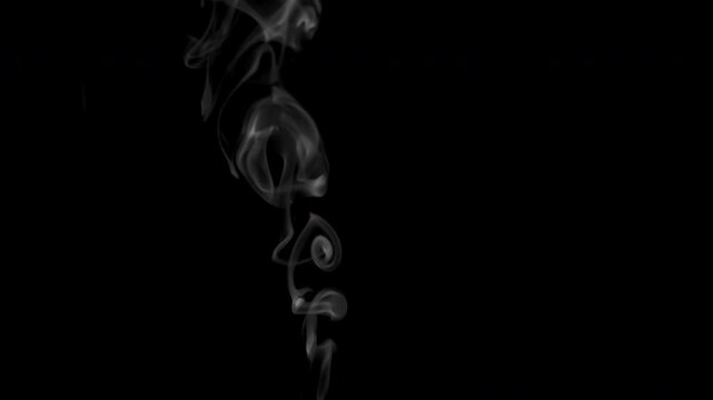 Curly Cigarette Smoke Rings. White clearly expressed smoke slowly rises from the bottom of the screen and forms elegant twists on a black background