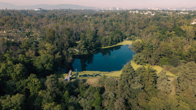 Aerial view of Bosque de Chapultepec featuring a serene lake surrounded by dense forest, lush greenery, and a distant urban skyline in Ciudad de Mexico, Ciudad de Mexico, Mexico.