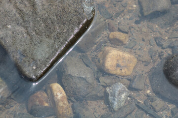 Dark boulder edge over sunlit river pebbles © Marisa