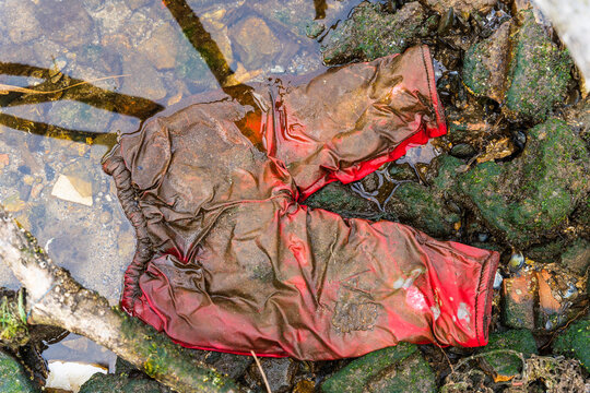 View of a discarded red rubber glove lying in the shallow, murky water among rocks and debris at the edge of Lake Varna, Varna, Bulgaria.