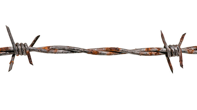 Isolated rusty barbed wire strand showing sharp points, conceptualizing danger and confinement