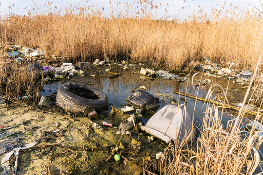 View of plastic waste, a discarded tire, and an old television polluting the reeds and shoreline of Lake Varna, Varna, Bulgaria.