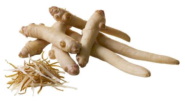 Isolated fresh white turmeric (zedoary) rhizomes and julienned slices, healthy root vegetable