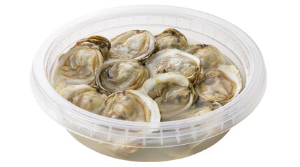 Isolated plastic container filled with fresh raw oysters and brine for seafood market. © Cian