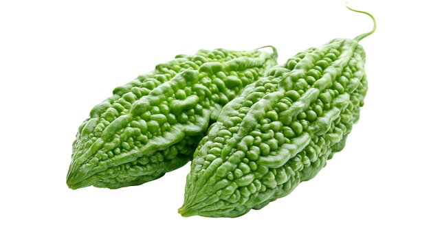 Isolated fresh green bitter gourds, healthy organic raw vegetable, Asian cuisine ingredient