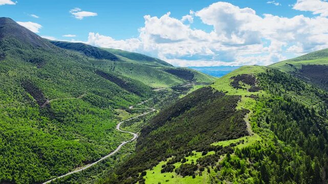 Winding asphalt road snakes through a lush green alpine valley surrounded by forested mountain slopes under a blue sky.