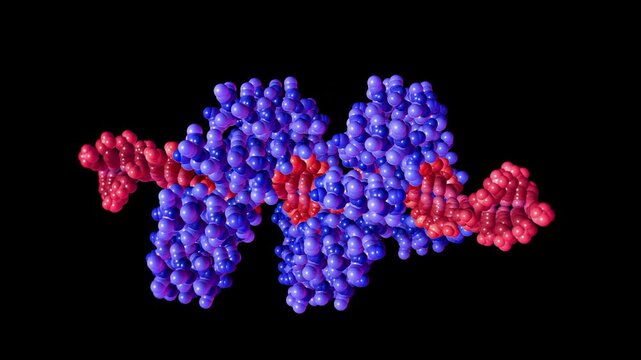 Genetic engineering concept with protein binding to rotating DNA strand