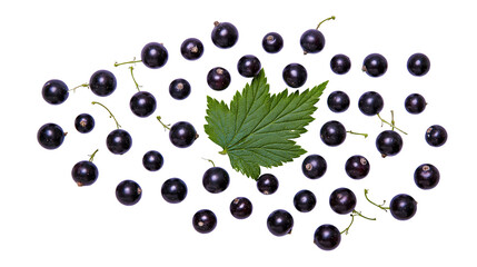 Isolated fresh ripe blackcurrants scattered with a vibrant green leaf, healthy summer fruit © Lucas