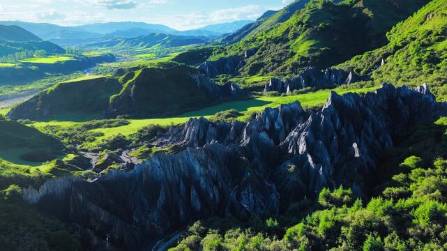 High angle view reveals dramatic stone forest rock formations surrounded by lush green valleys and mountains under sunny sky.